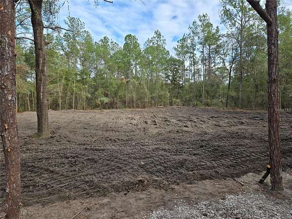 1 Acre of Residential Land for Sale in Williston, Florida