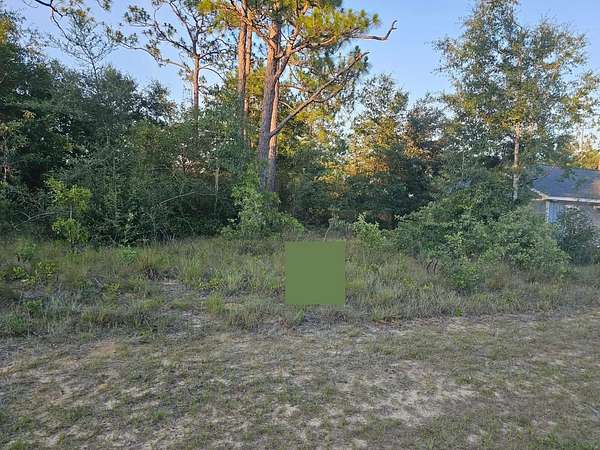 0.23 Acres of Residential Land for Sale in Chipley, Florida