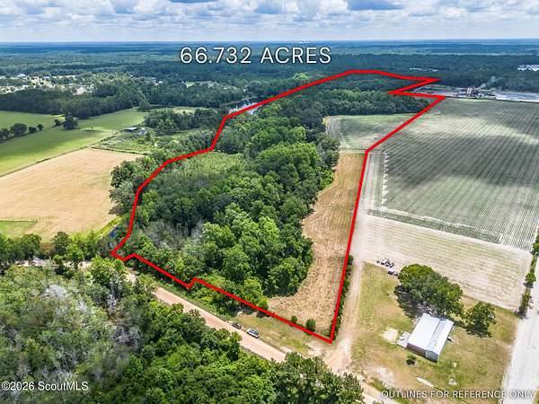 66.7 Acres of Land for Sale in Odum, Georgia