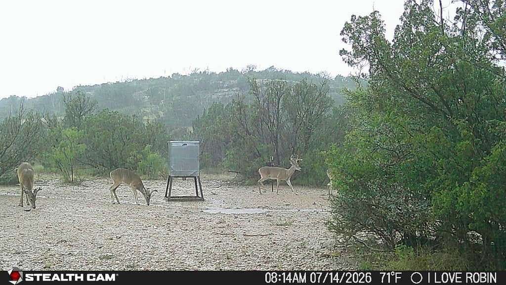200 Acres of Recreational Land for Sale in Ozona, Texas