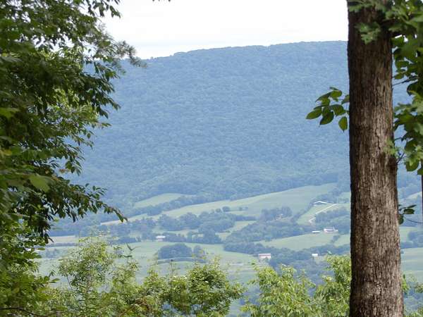 1 Acre of Residential Land for Sale in Pikeville, Tennessee