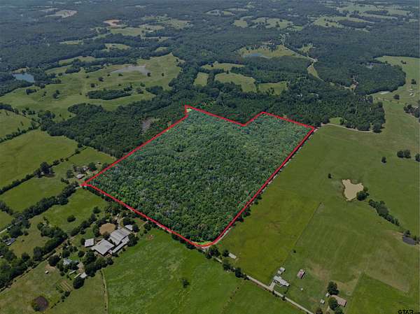 67.5 Acres of Recreational & Residential Land for Sale in Cookville, Texas