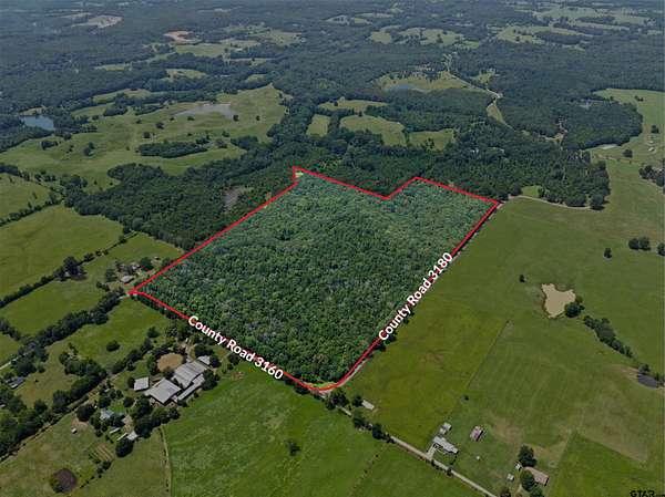 67.5 Acres of Recreational & Residential Land for Sale in Mount Pleasant, Texas