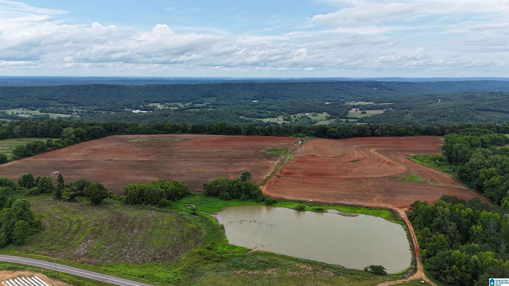 138 Acres of Agricultural & Residential Land for Sale in Steele, Alabama