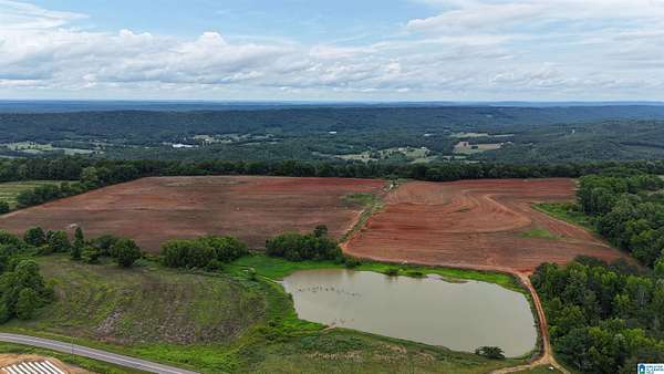 138 Acres of Agricultural & Residential Land for Sale in Steele, Alabama