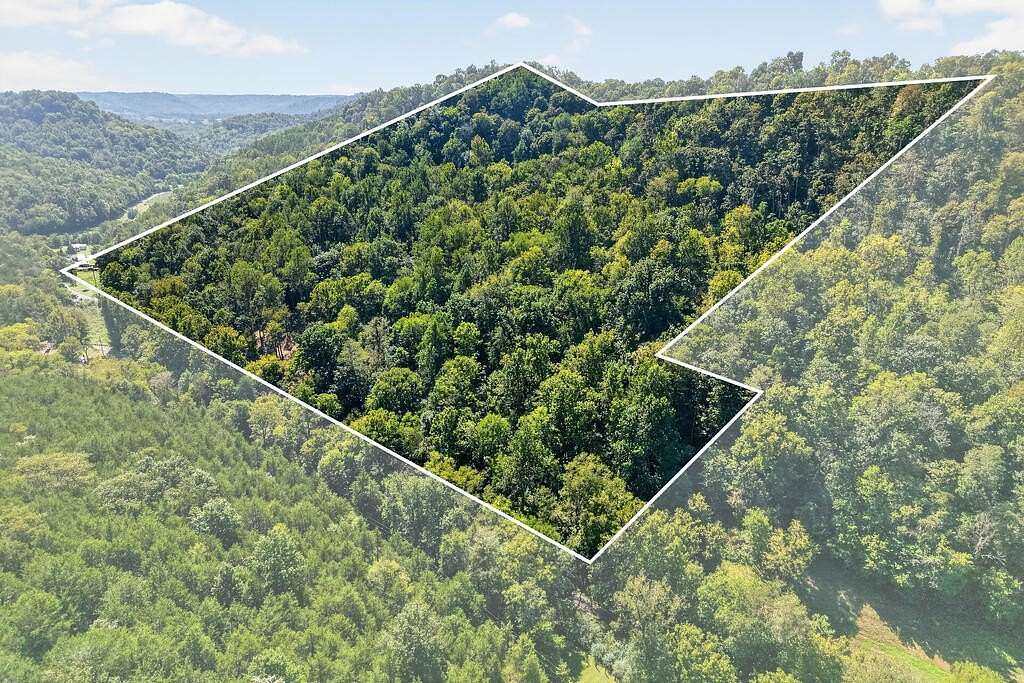 24 Acres of Recreational & Residential Land for Sale in Gainesboro, Tennessee