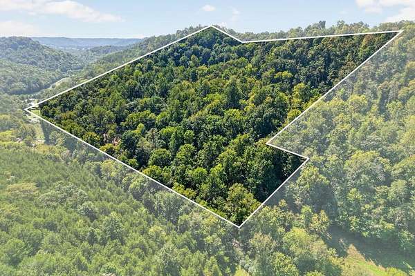 24 Acres of Recreational & Residential Land for Sale in Gainesboro, Tennessee