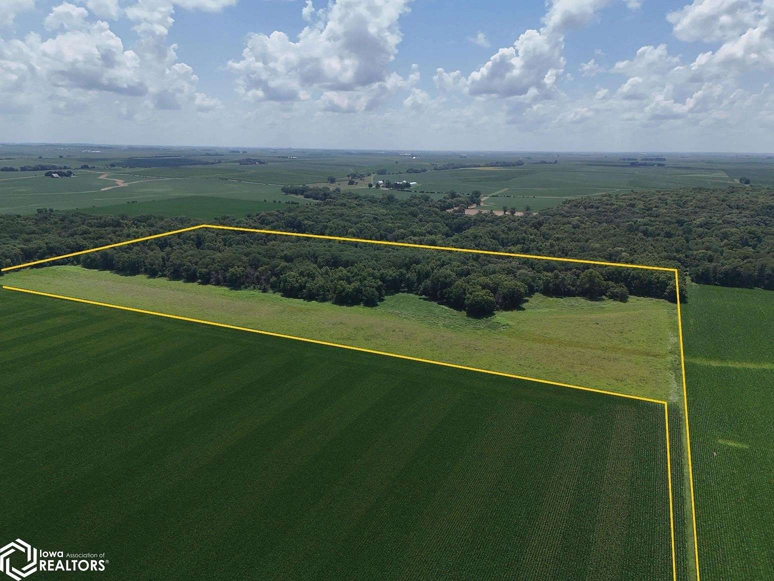 50.7 Acres of Land for Auction in Buckingham, Iowa