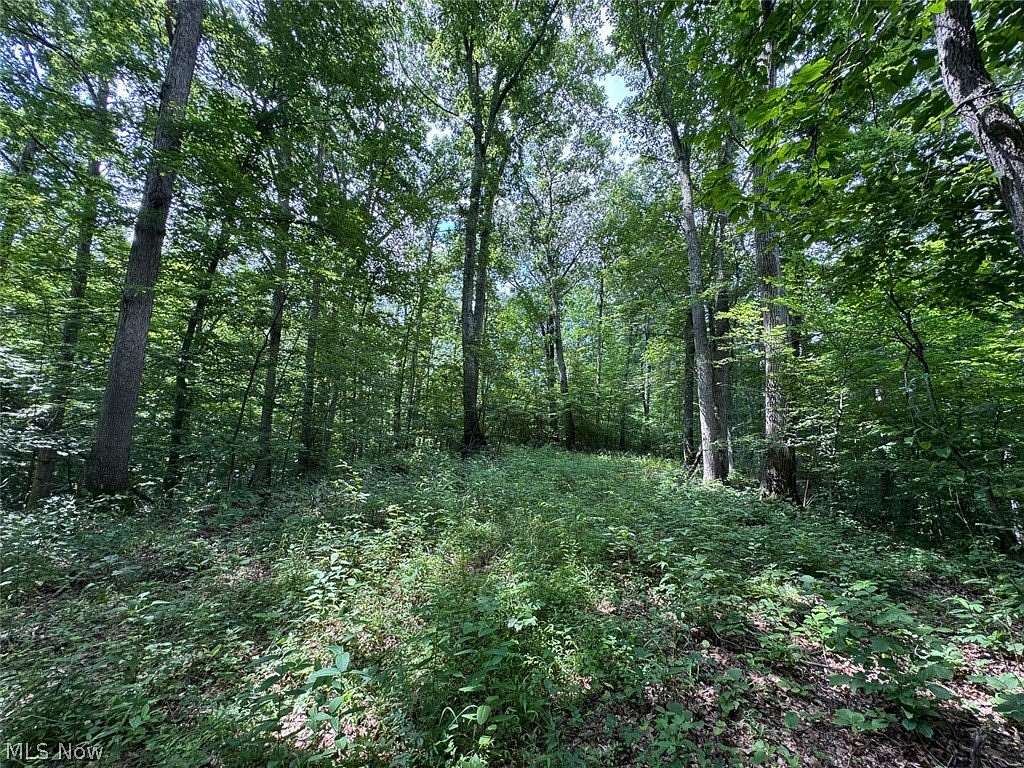 6.2 Acres of Land for Auction in Corning, Ohio