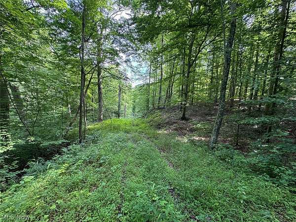 6.2 Acres of Land for Auction in Corning, Ohio