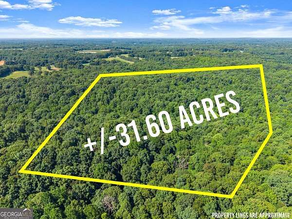 31.6 Acres of Recreational & Residential Land for Sale in Carnesville, Georgia
