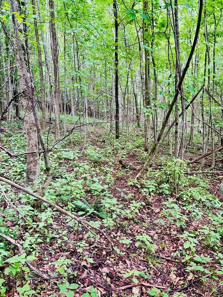 2 Acres of Residential Land for Sale in Edmond, West Virginia