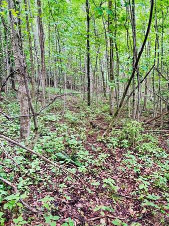 2 Acres of Residential Land for Sale in Edmond, West Virginia