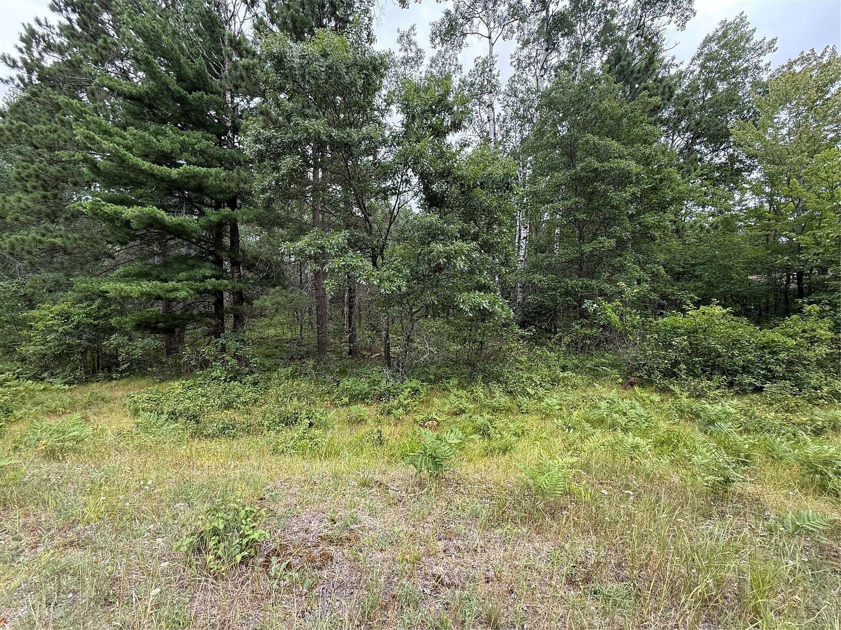 0.65 Acres of Residential Land for Sale in Barnes Town, Wisconsin