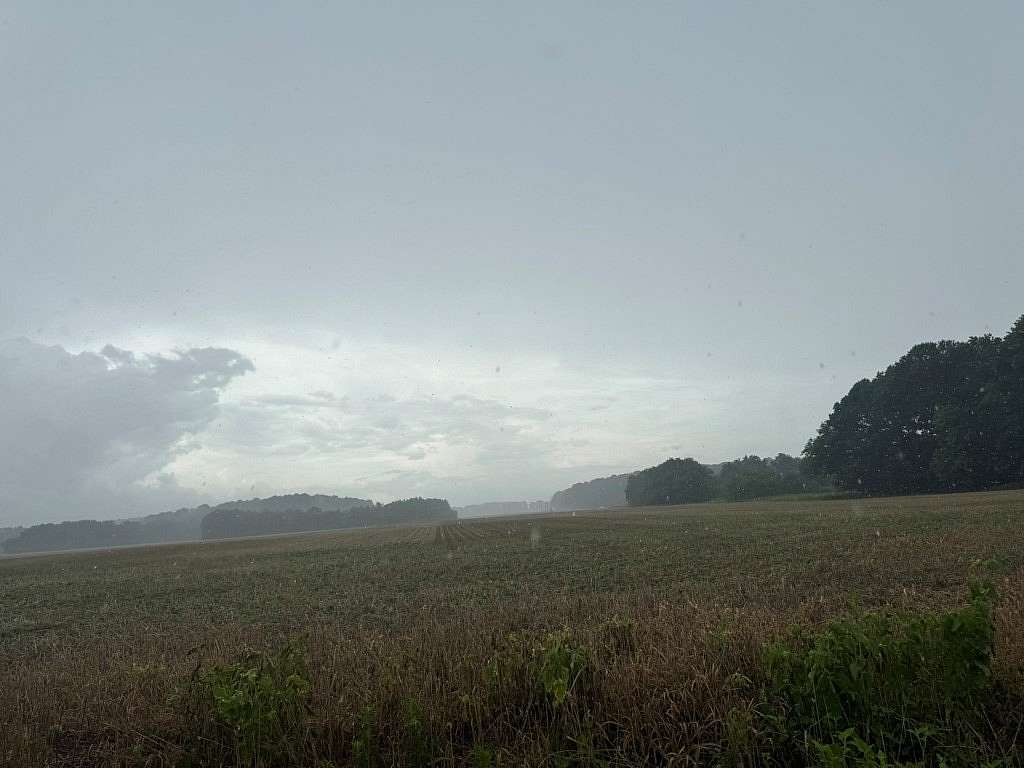 13.4 Acres of Land for Sale in Exmore, Virginia