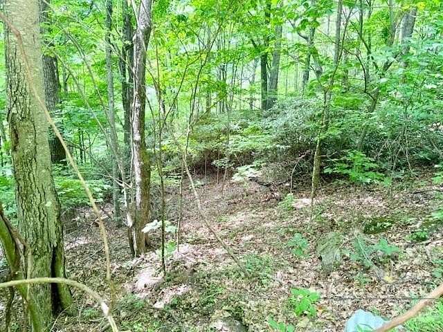1.2 Acres of Residential Land for Sale in West Jefferson, North Carolina