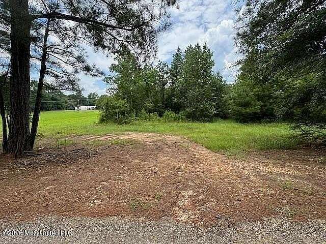 11.1 Acres of Land for Sale in Gloster, Mississippi