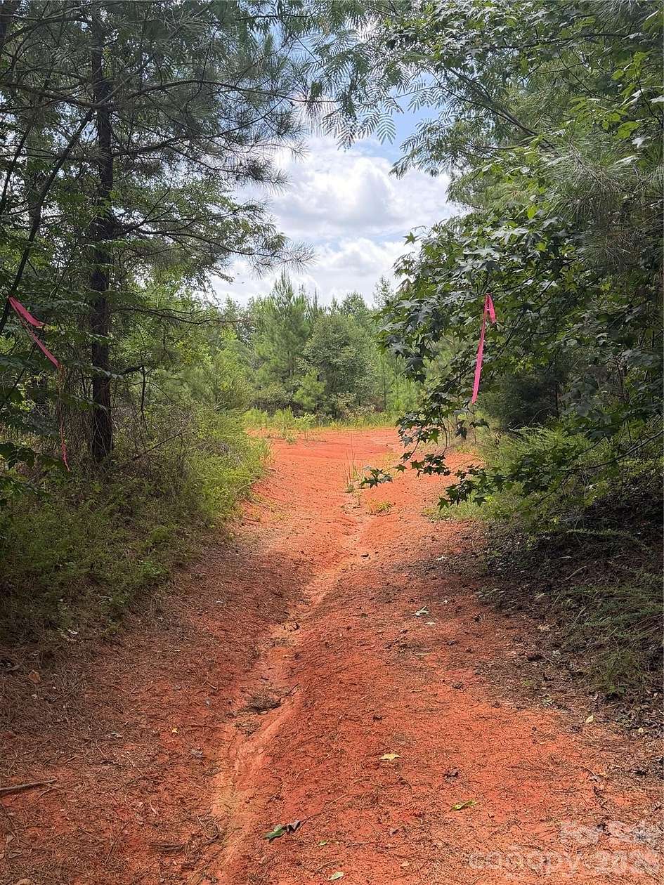 53.2 Acres of Recreational Land for Sale in Catawba, South Carolina
