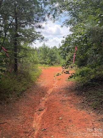 53.2 Acres of Recreational Land for Sale in Catawba, South Carolina