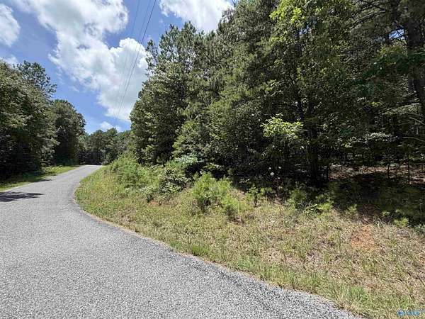 0.58 Acres of Residential Land for Sale in Leesburg, Alabama