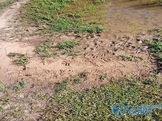 41 Acres of Recreational Land for Sale in Vina, Alabama