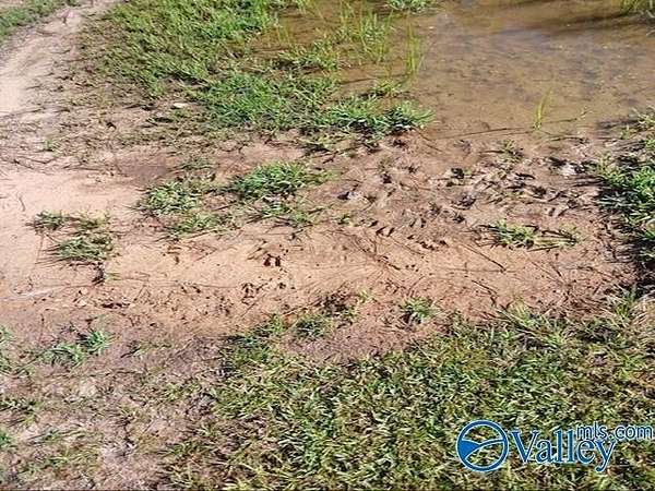 41 Acres of Recreational Land for Sale in Vina, Alabama