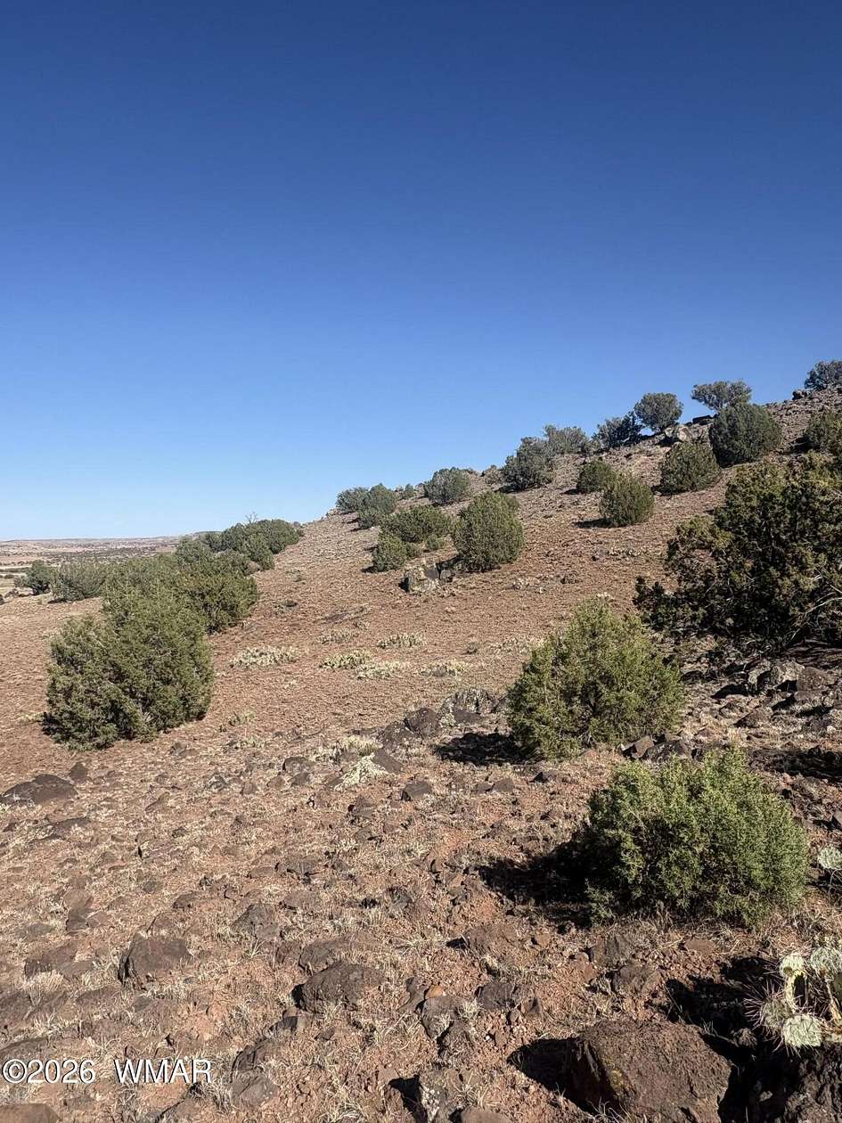 37.3 Acres of Recreational & Residential Land for Sale in Concho, Arizona