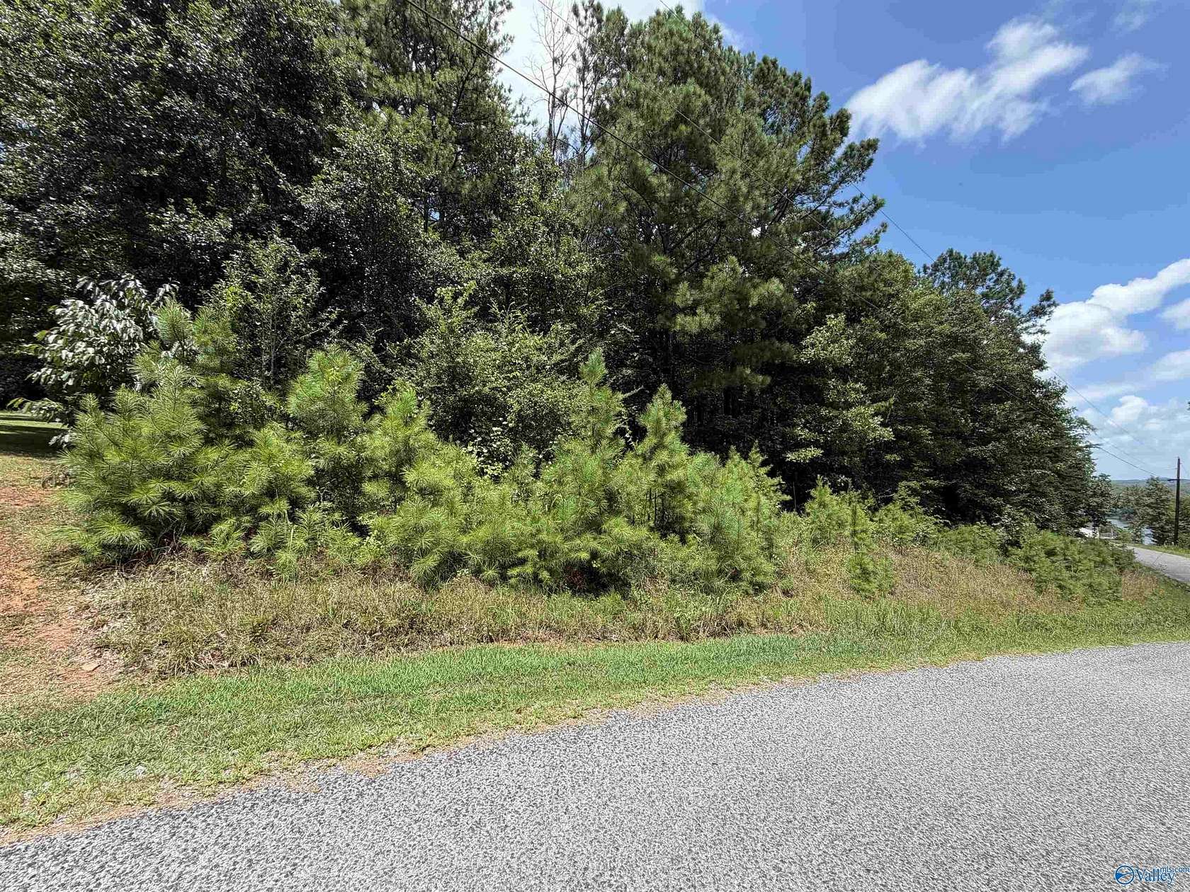 0.68 Acres of Residential Land for Sale in Leesburg, Alabama