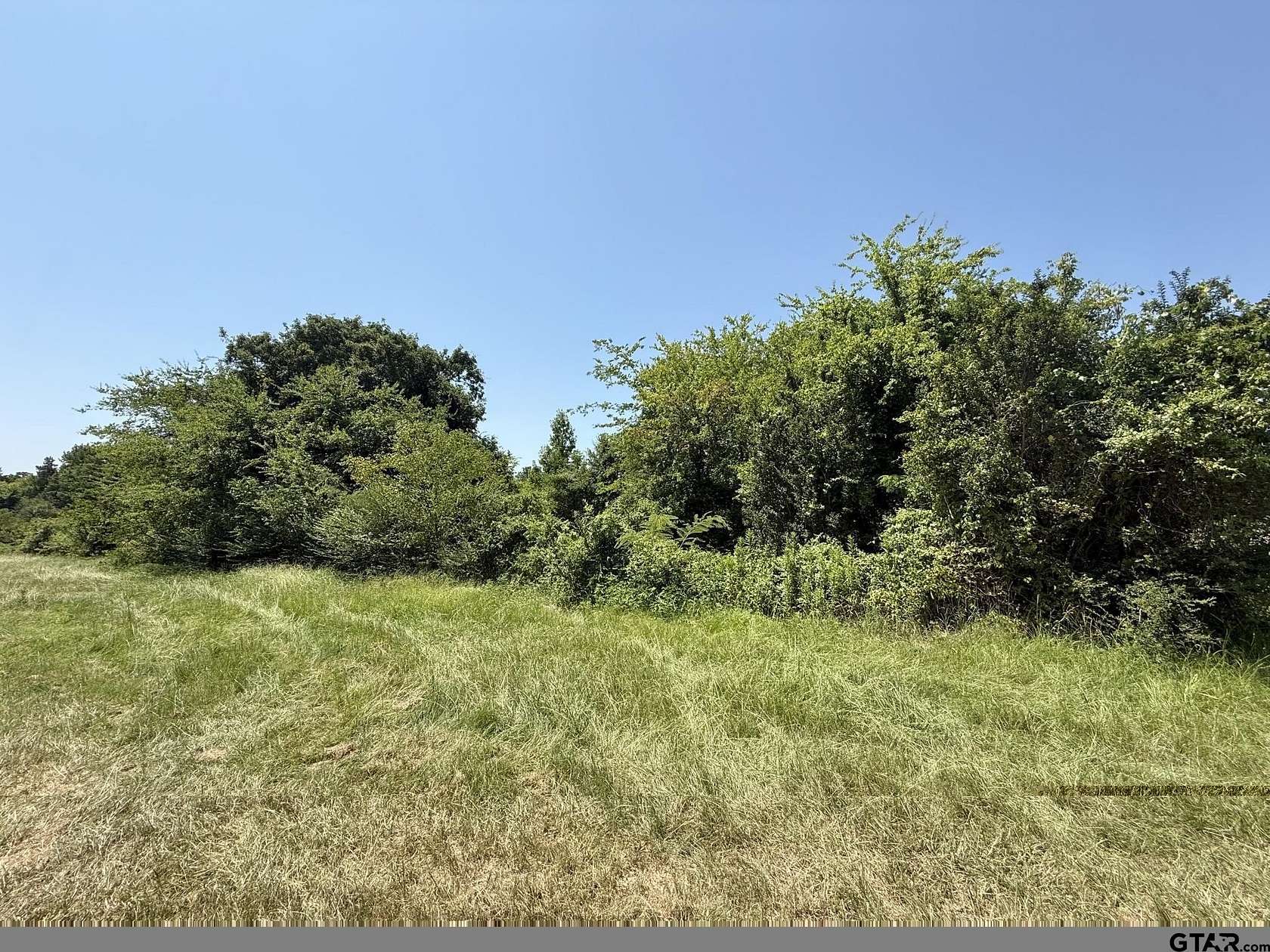 17.7 Acres of Land for Sale in Mount Pleasant, Texas