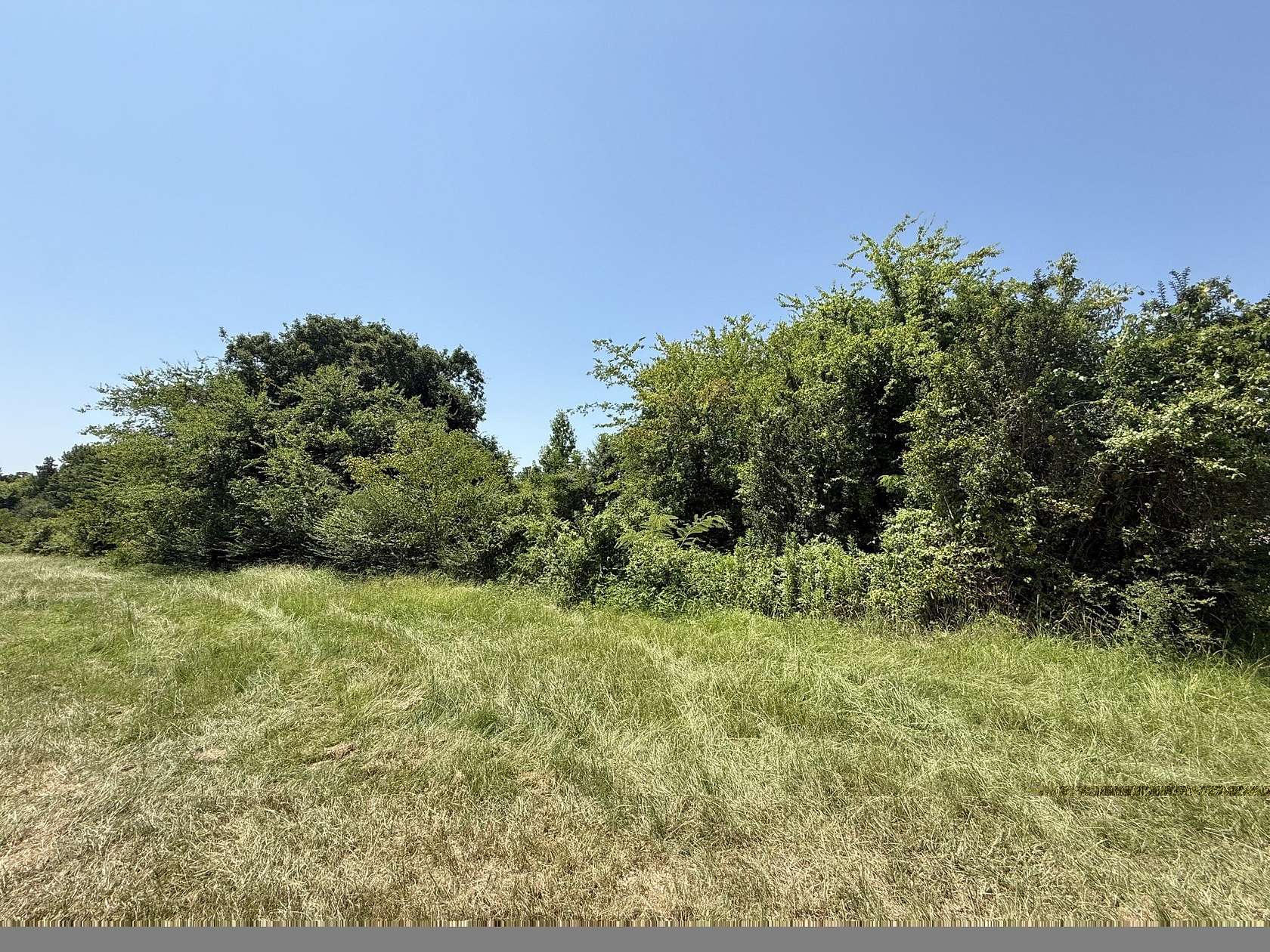 17.7 Acres of Land for Sale in Mount Pleasant, Texas