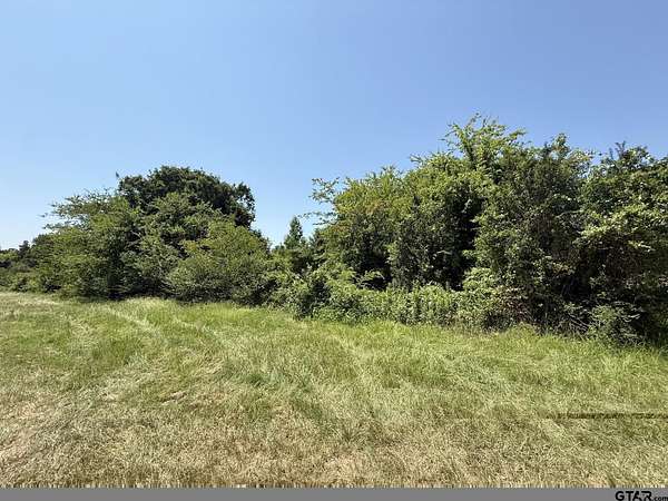 17.7 Acres of Land for Sale in Mount Pleasant, Texas