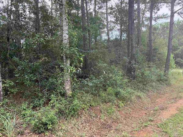 0.32 Acres of Residential Land for Sale in Milton, Florida