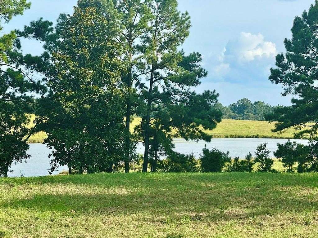 3.44 Acres of Residential Land for Sale in Hillister, Texas