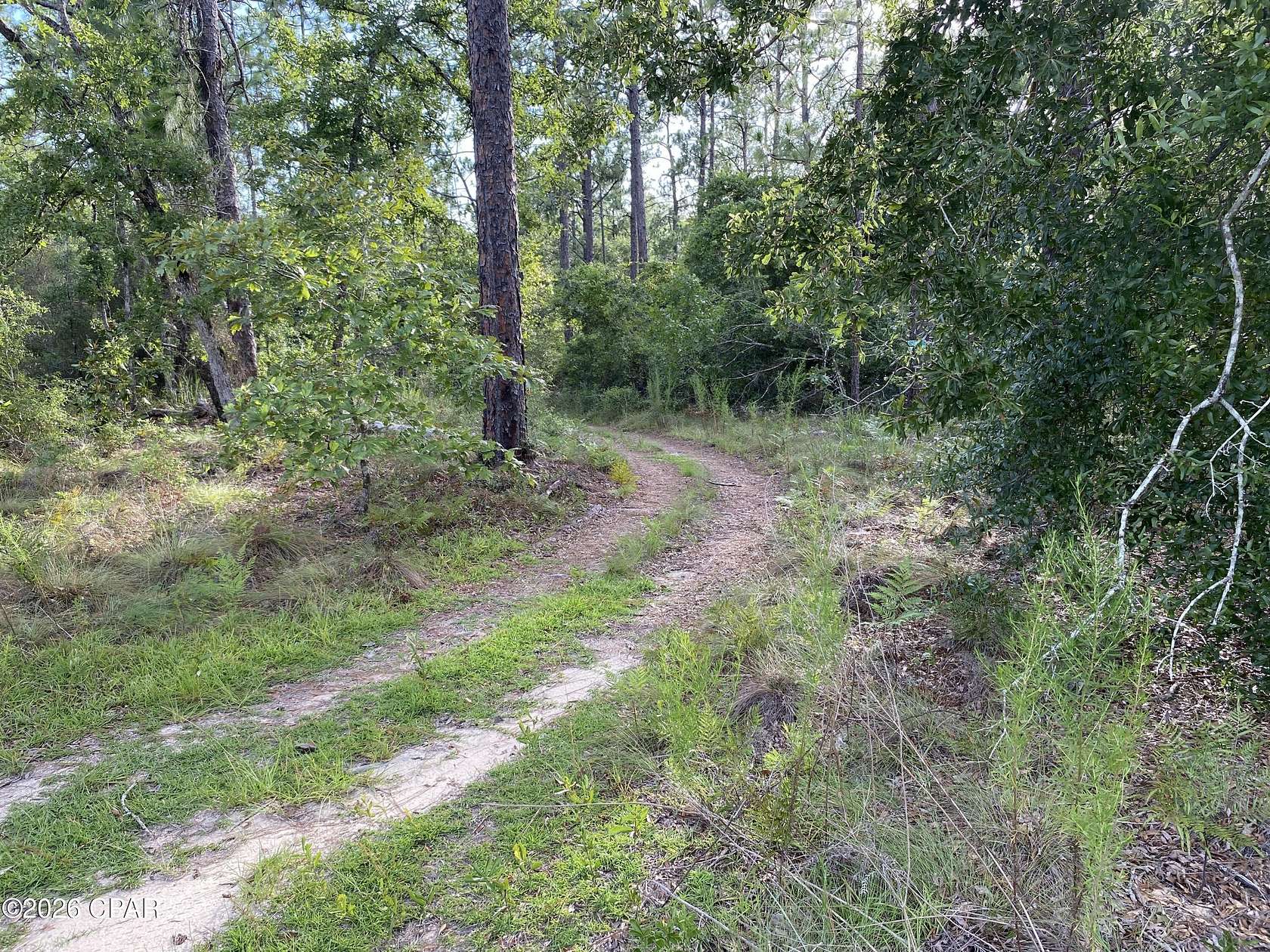 1 Acre of Land for Sale in Alford, Florida
