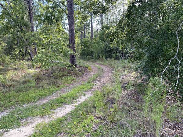 1 Acre of Land for Sale in Alford, Florida