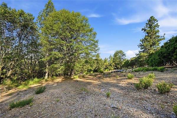 1 Acre of Residential Land for Sale in Cobb, California