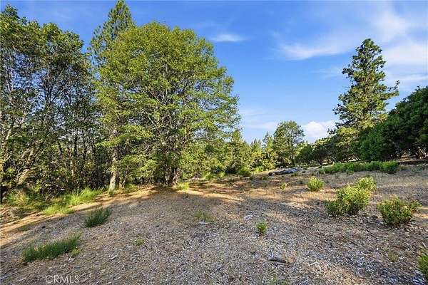 1 Acre of Residential Land for Sale in Cobb, California