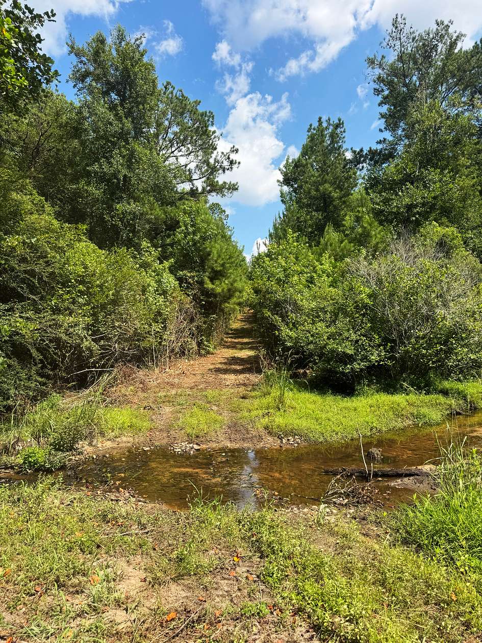 545 Acres of Land for Sale in Cuthbert, Georgia