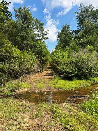 545 Acres of Land for Sale in Cuthbert, Georgia