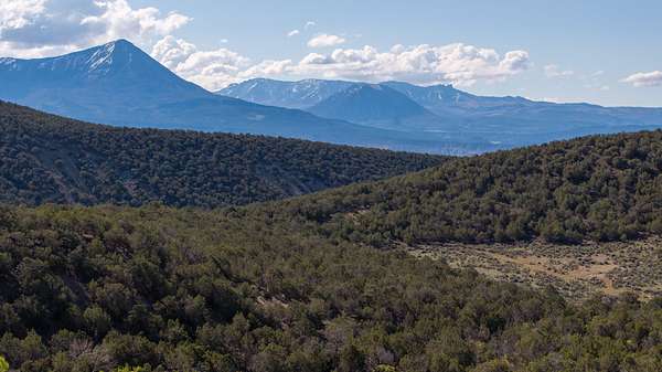 249 Acres of Land for Sale in Hotchkiss, Colorado