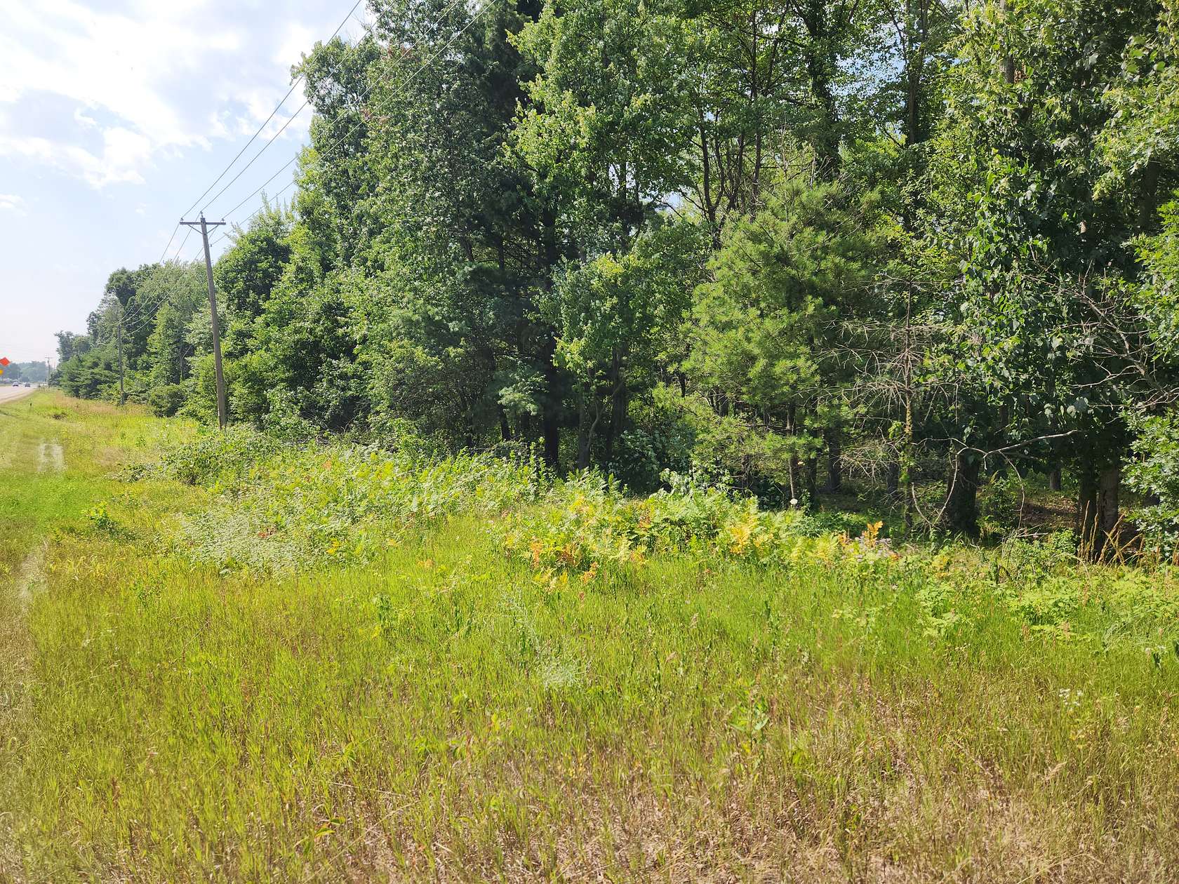20.2 Acres of Land for Sale in Redgranite, Wisconsin