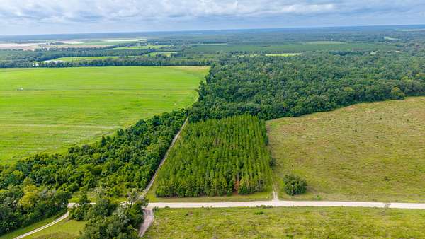 10 Acres of Land for Sale in O'Brien, Florida