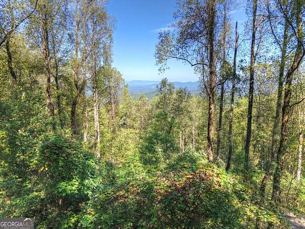 Residential Land for Sale in Ellijay, Georgia