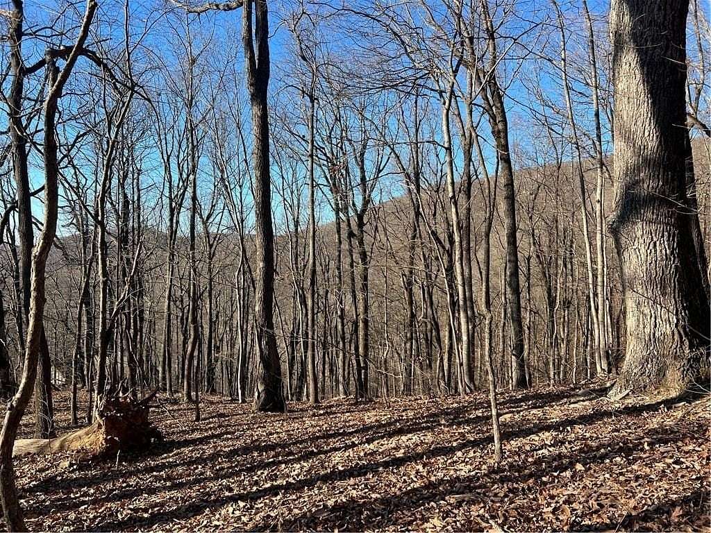 Land for Sale in Jasper, Georgia