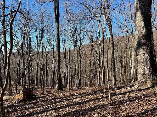 Land for Sale in Jasper, Georgia