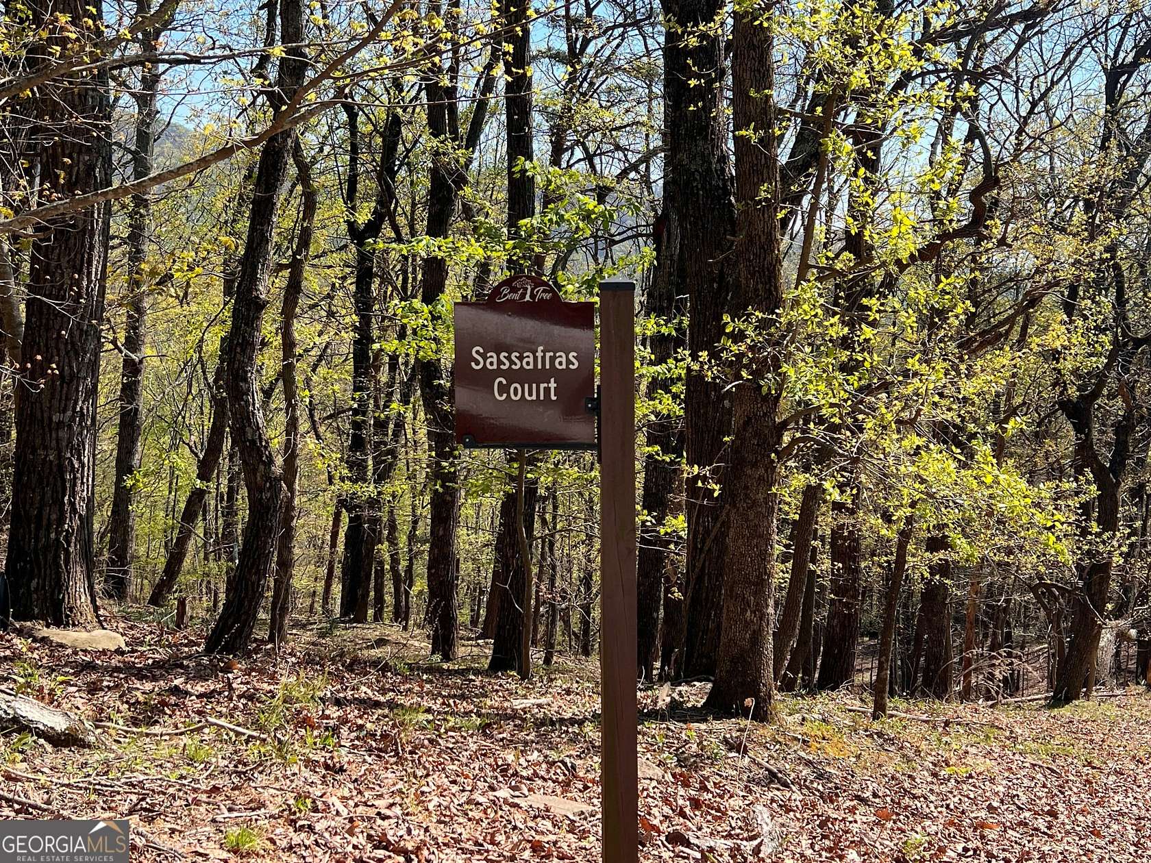 Land for Sale in Jasper, Georgia