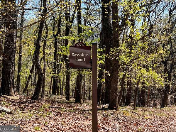Land for Sale in Jasper, Georgia
