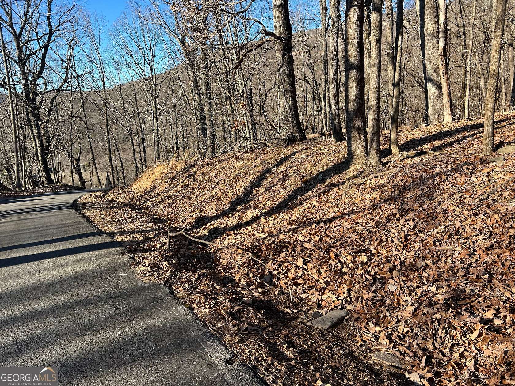 Residential Land for Sale in Jasper, Georgia