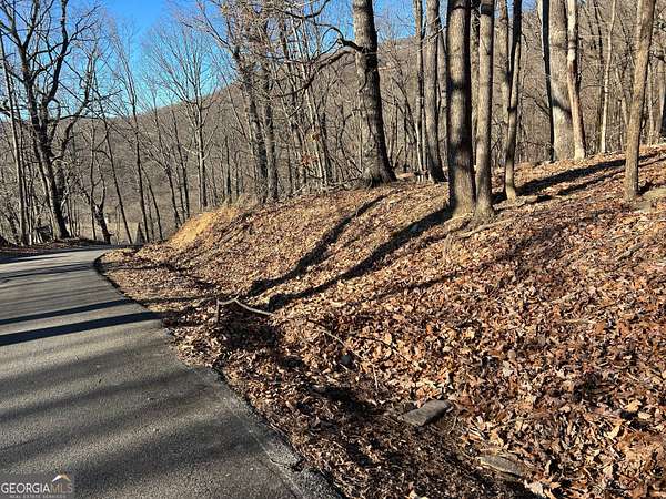 Residential Land for Sale in Jasper, Georgia