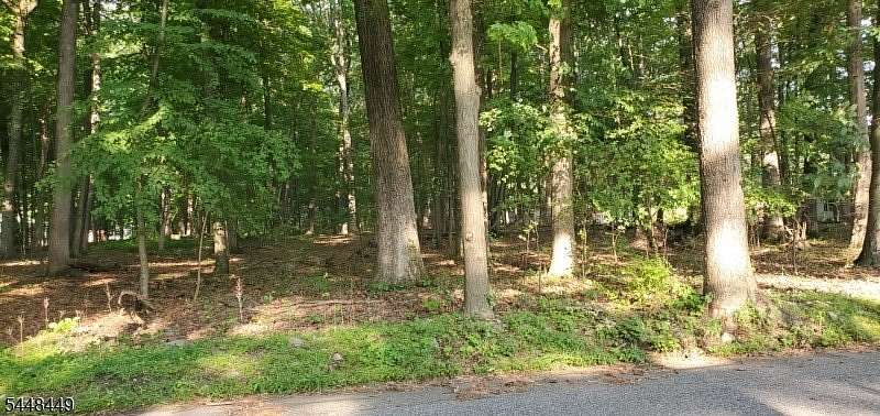 26 Acres of Land for Sale in Knowlton Township, New Jersey